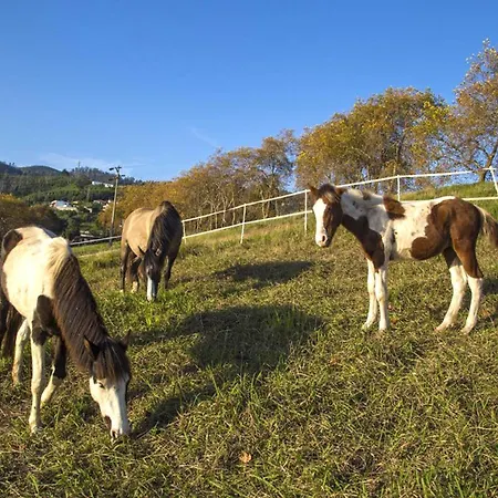 Eve Palheiro Village By Madeira Villa Funchal (Madeira)