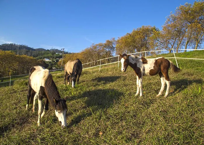Eve Palheiro Village By Madeira Villa Funchal (Madeira)
