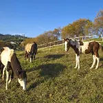 Eve Palheiro Village By Madeira וילה פונשל